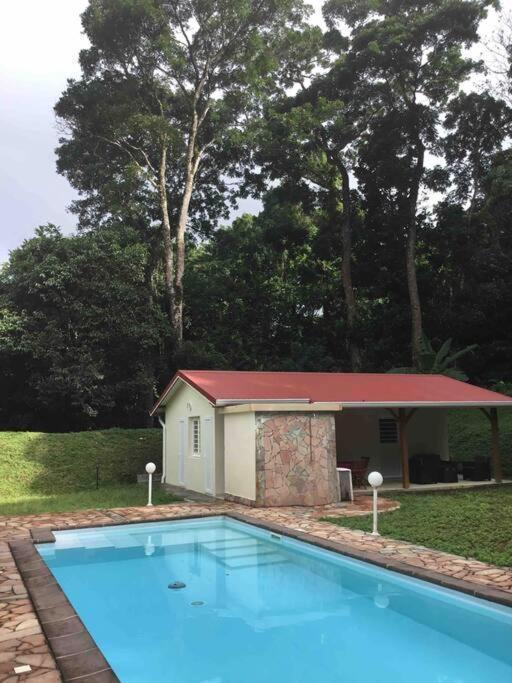 Les Lucioles 1 Beau T2 En Foret Tropicale Avec Acces Piscine Saint-Joseph Bagian luar foto